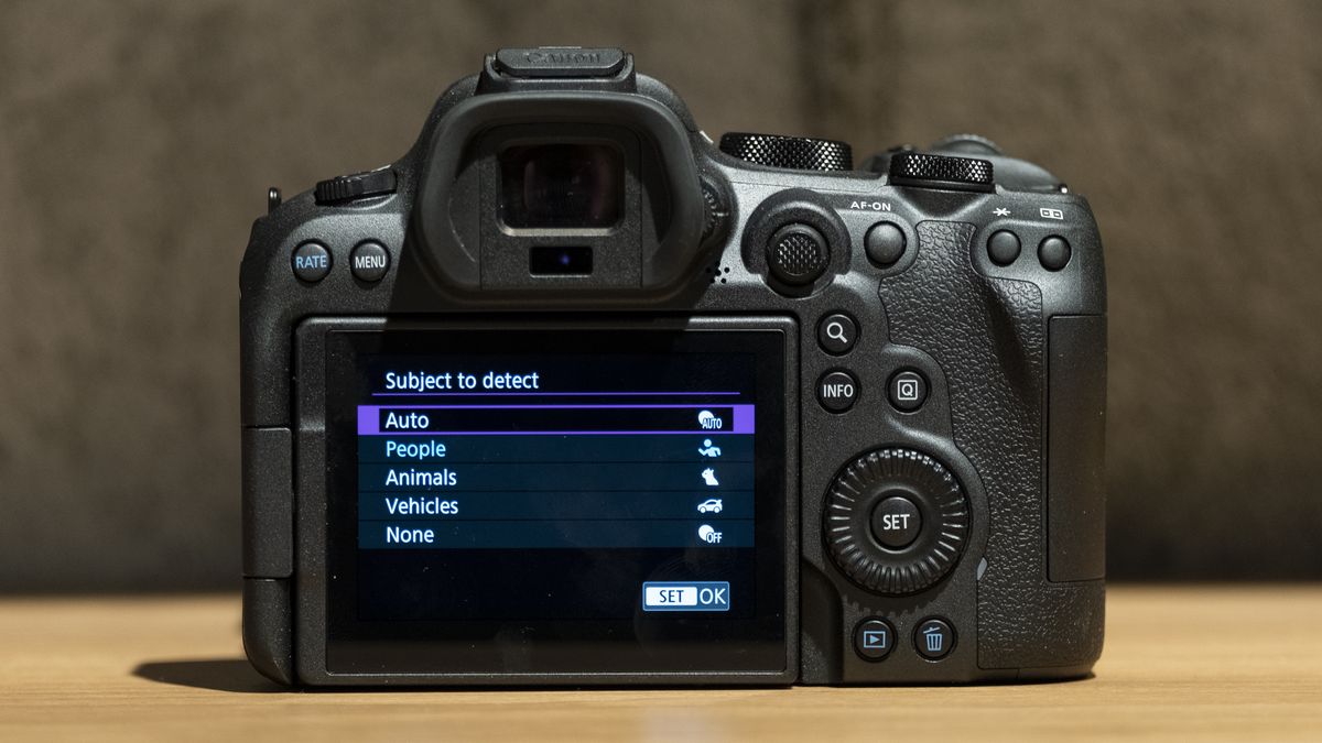 The Canon EOS R6 Mark II is a great update, but not the one I was ...