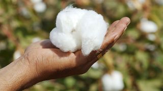 A hand holds a ball of cotton