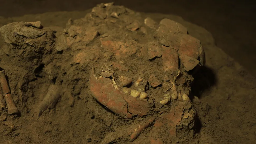 Phát hiện chấn động trong ngôi mộ 7.200 năm tuổi: Tiết lộ bí mật giới khoa học chưa từng biết đến! - Ảnh 2.