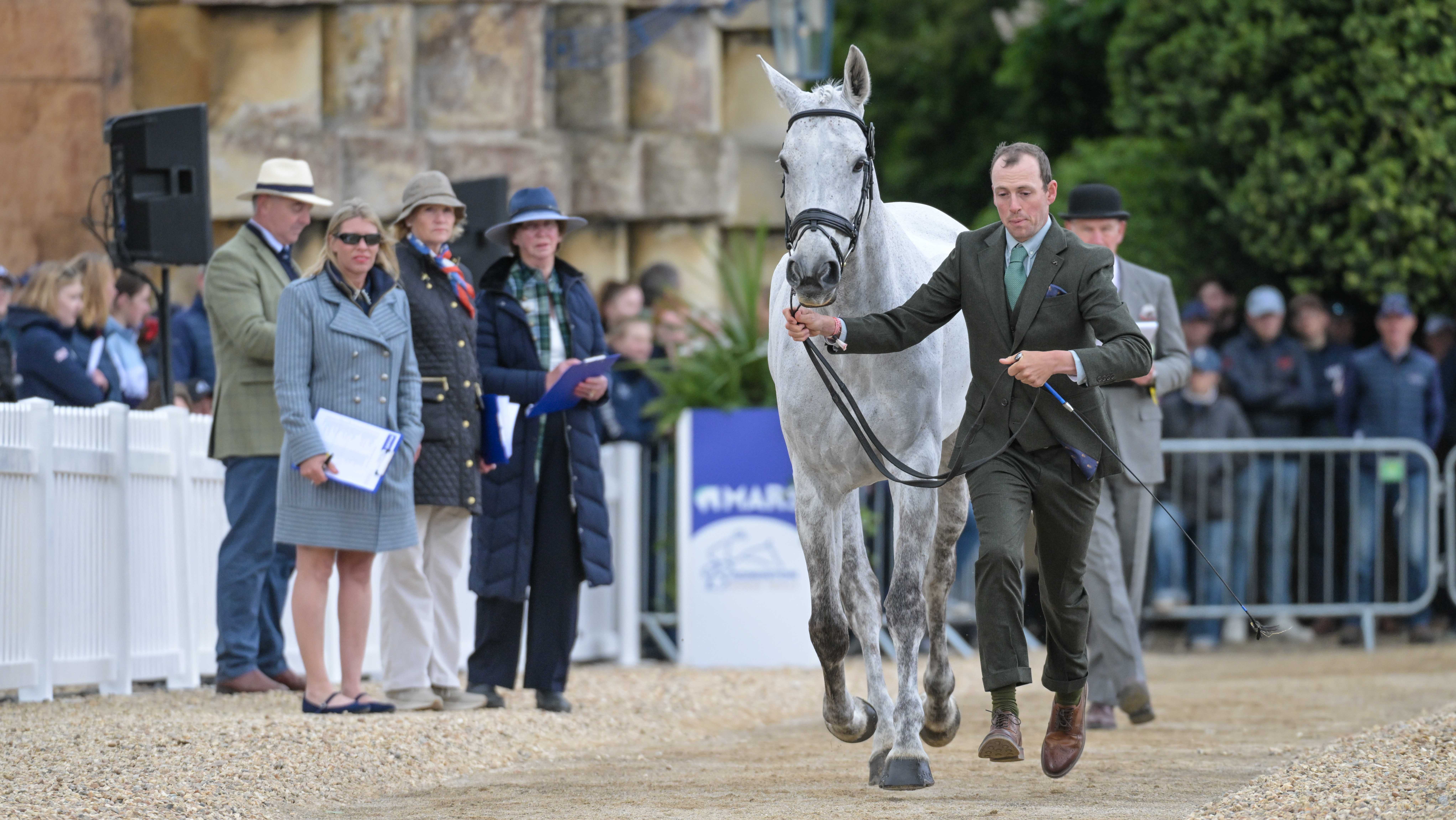 Tom Rowland and Dreamliner at the 2026 Badminton Horse Trials final trot-up.