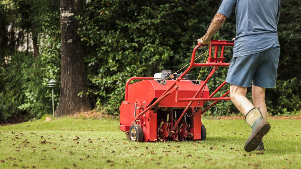 How To Aerate A Lawn And When To Do It | Tom's Guide