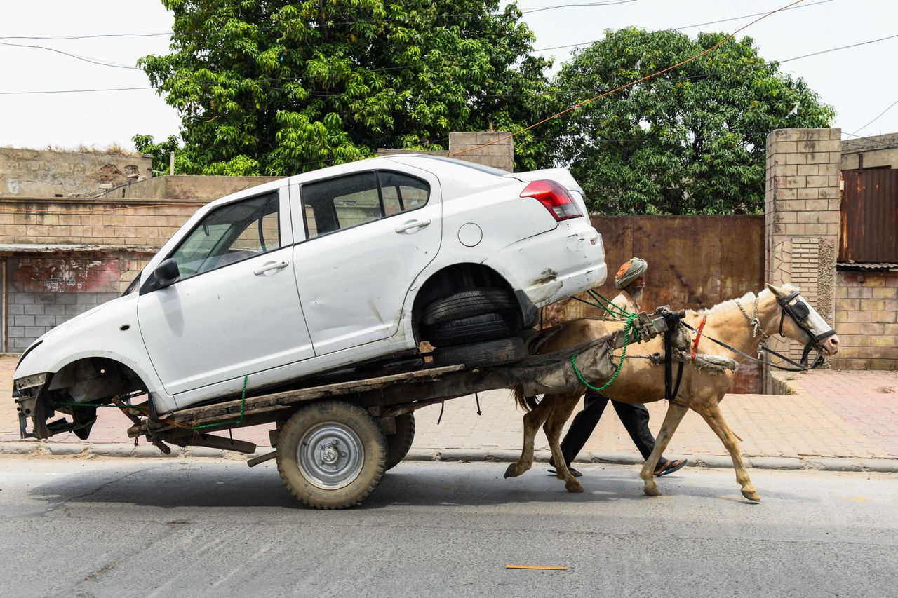 A horse pulling a car.