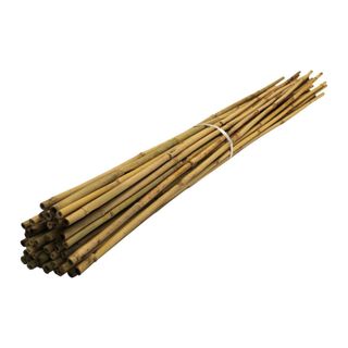 Bamboo Canes For Gardens/Plant Support