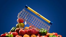 Lidl Trolley Bag by Nik Bentel