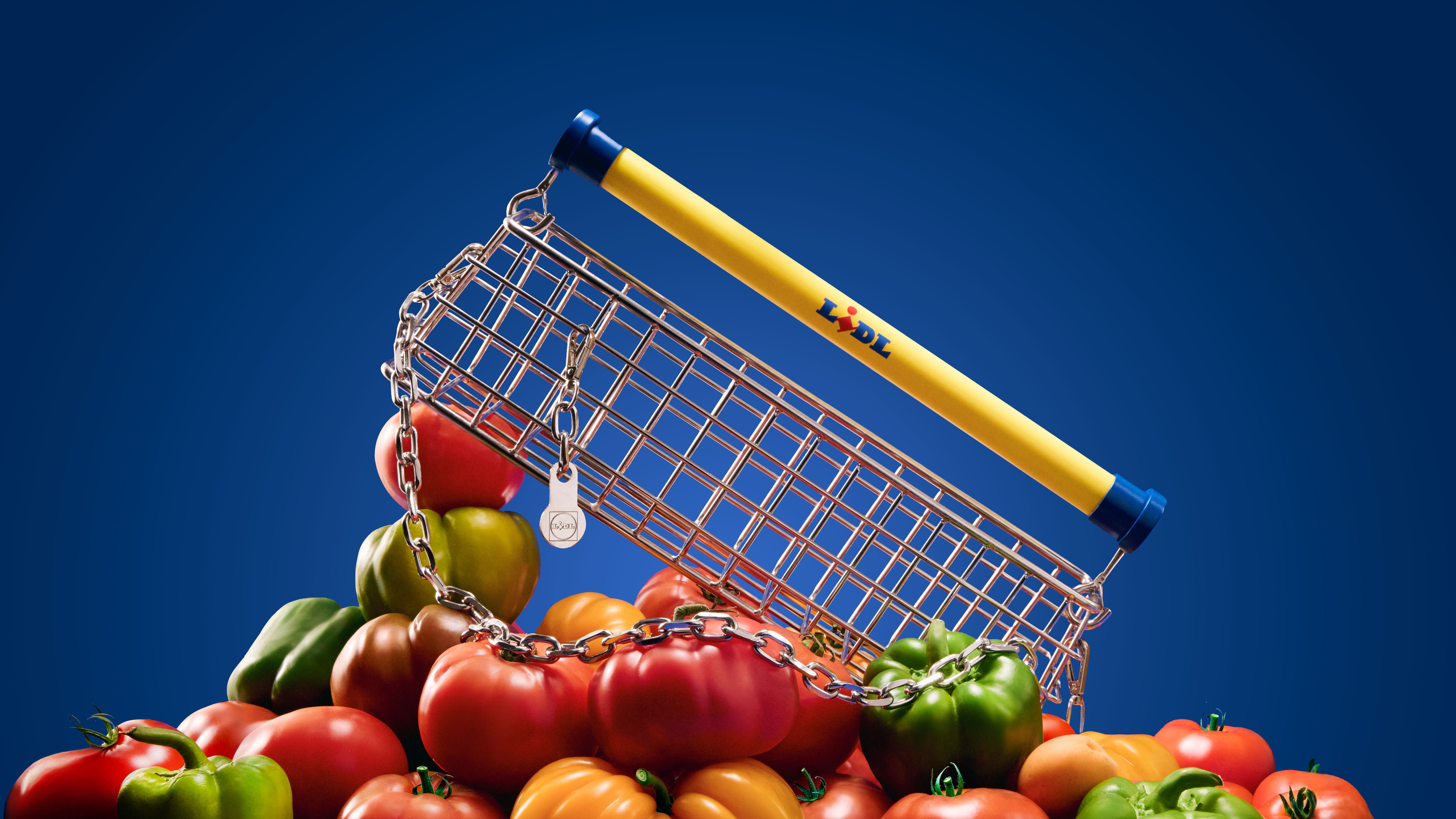 Lidl Trolley Bag by Nik Bentel