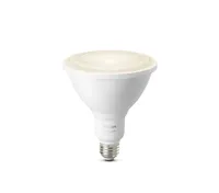 Philips Hue Single PAR38 Outdoor
