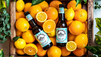 Lowlander 0.00% WIT