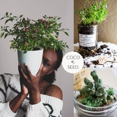 Tishana Richards and her Coco & Seed products