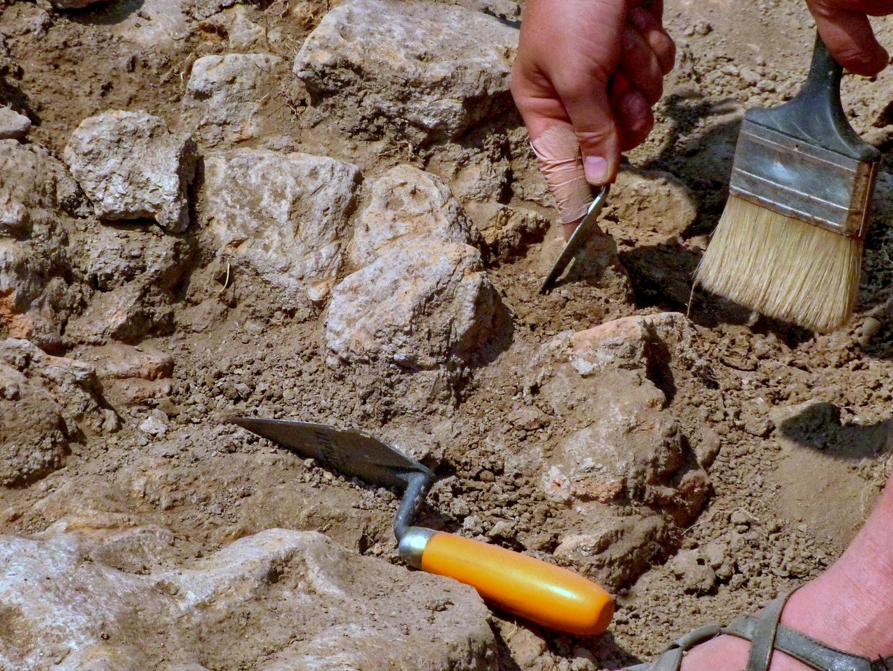 Archaeologist digging