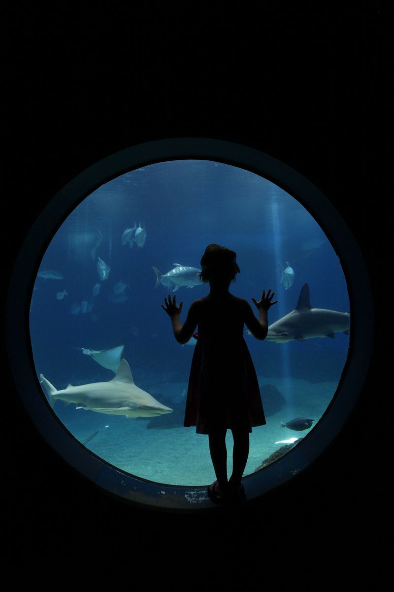 Head to the Aquarium