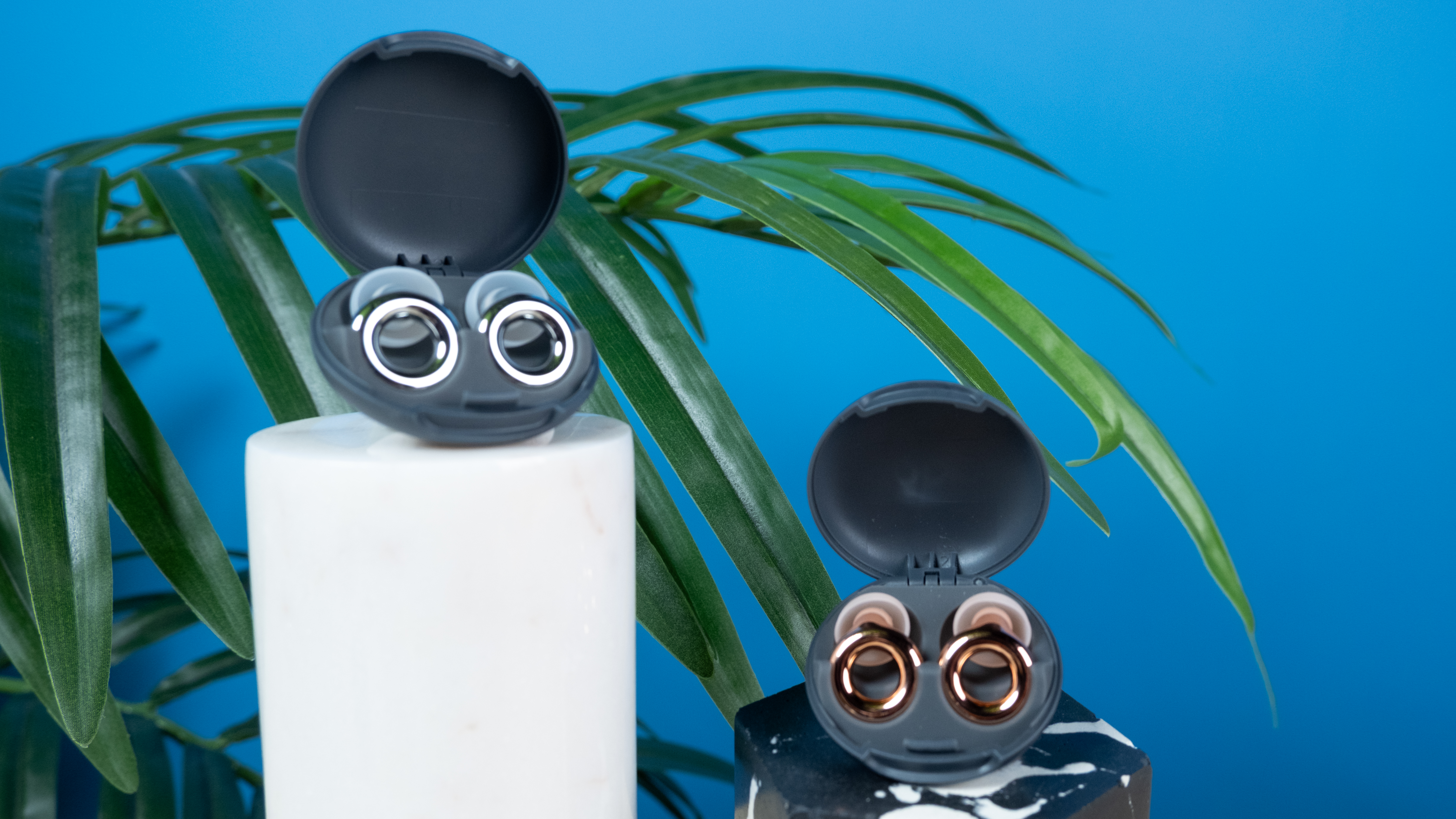 Loop Experience 2 Plus earplugs