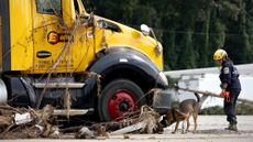 FEMA worker searches wreckage from Hurricane Helene in North Carolina