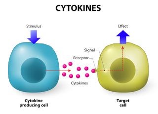 Infographic of a cell secreting cytokines to a target cell which then elicits a response.