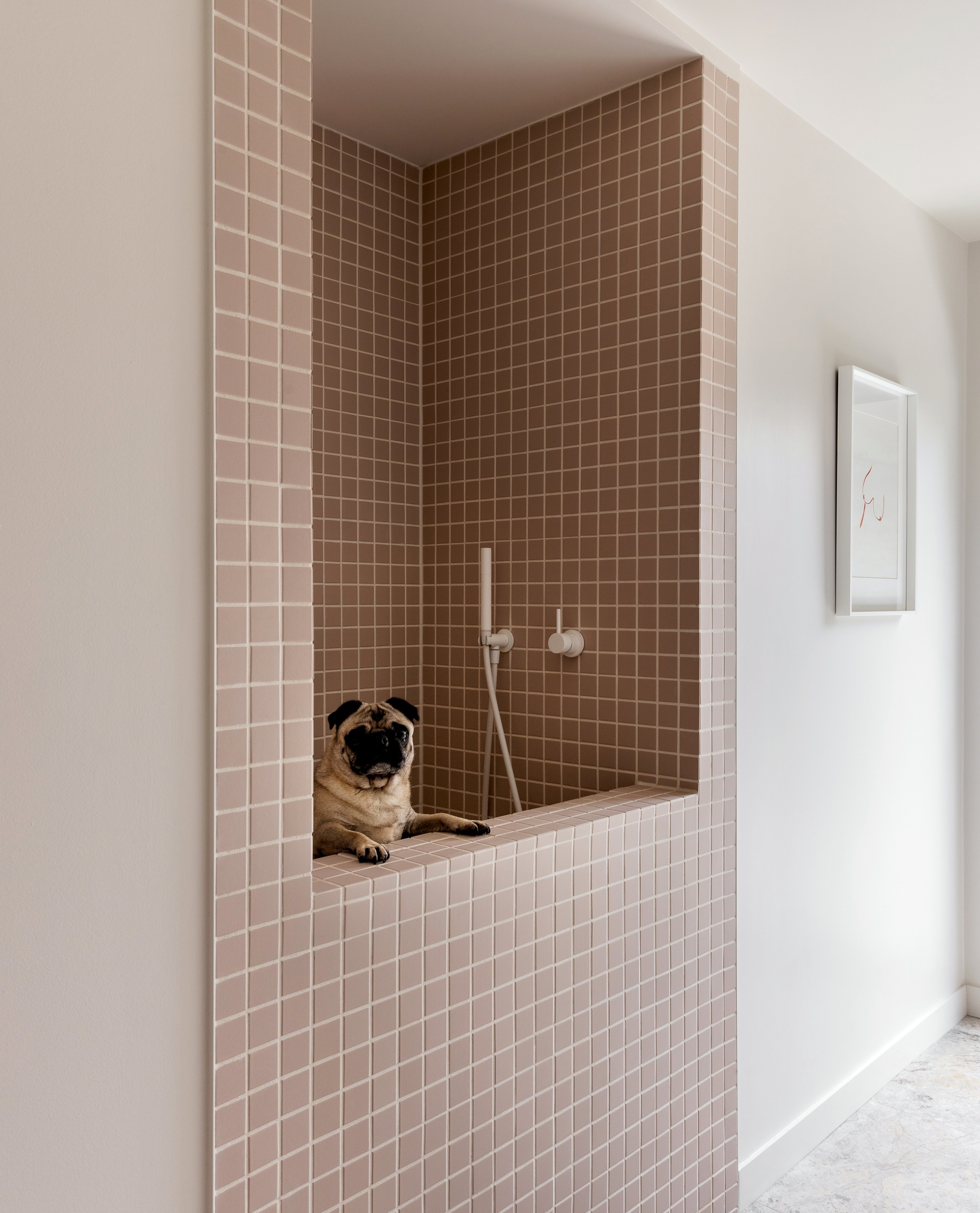 A recessed dog bath in blush pink, square tile, with a half height tiled wall.
