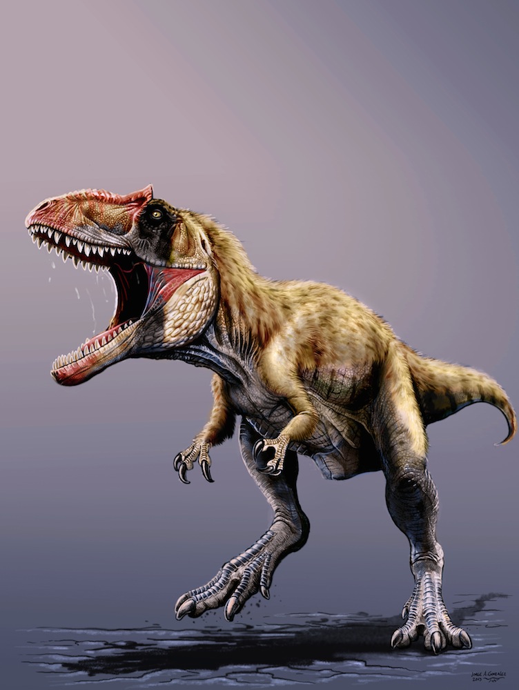 Dinosaurs: T. rex had more powerful jaws than its theropod ancestors