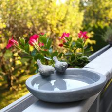 bird bath on balcony railing