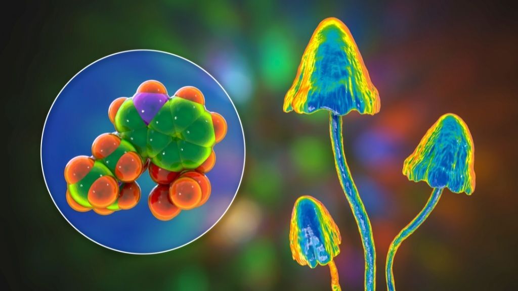 'Magic mushroom' compound creates a hyper-connected brain to treat depression