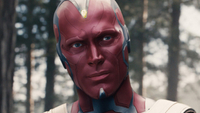   Vision