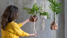 best hanging planter