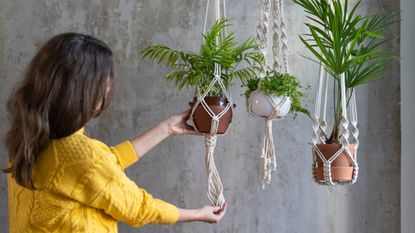 best hanging planter