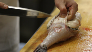 A pufferfish lies on a wood table as a person holds it and uses a sharp metal knife to flay it.