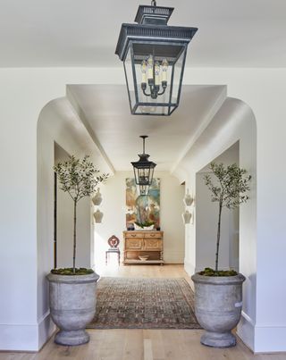 a stylish entryway with indoor trees