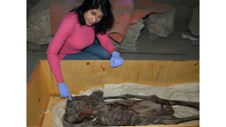 Radiologist Sahar Saleem observing the screaming woman mummy lying inside her coffin