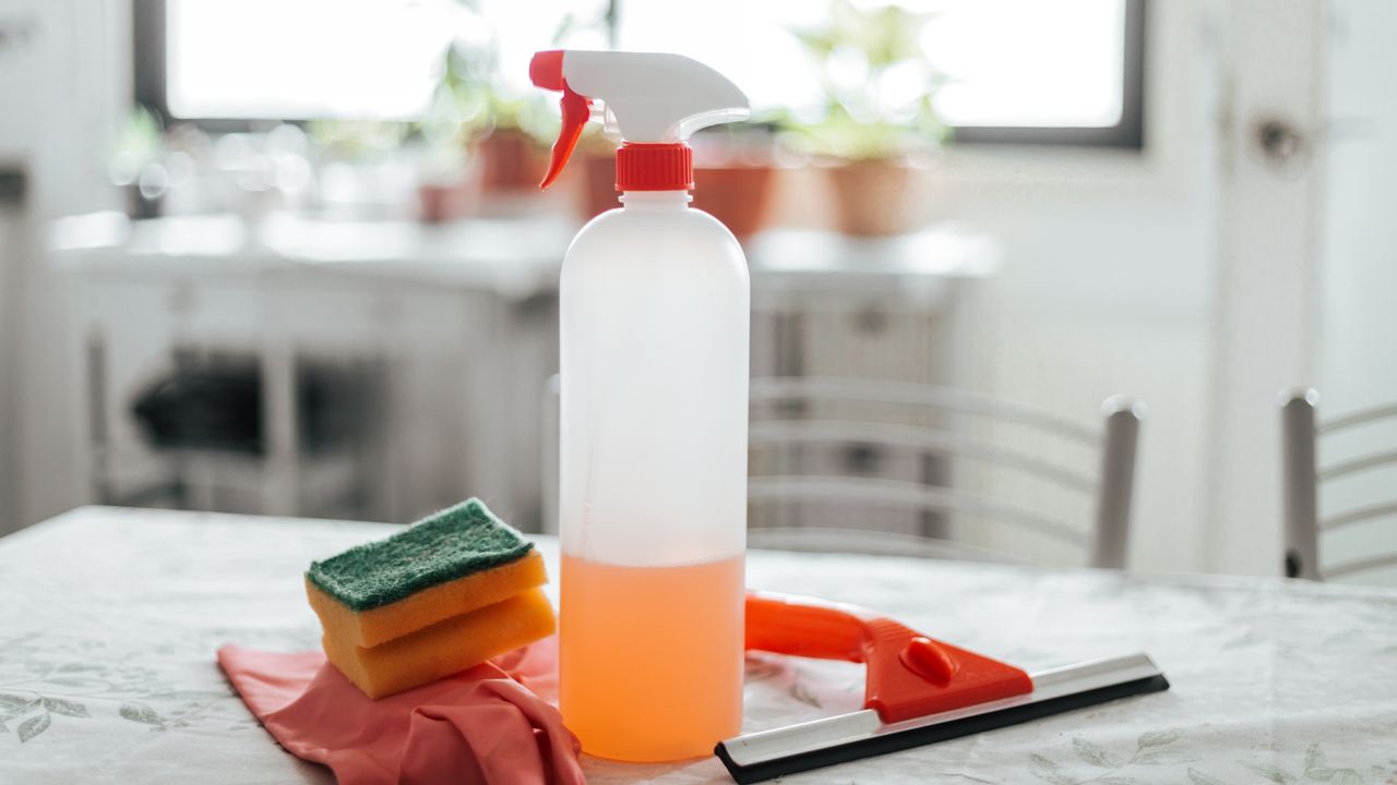 An image for things you should never use bleach on at home showing a bottle of spray bleach, a sponge and a cloth on a kitchen countertop with the background blurred out