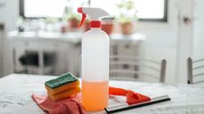 An image for things you should never use bleach on at home showing a bottle of spray bleach, a sponge and a cloth on a kitchen countertop with the background blurred out