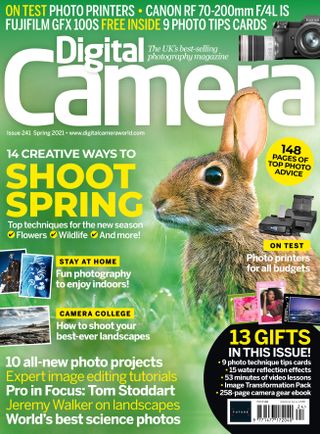 DCam 241 new issue cover image