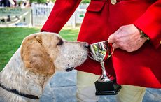 Ardingly-Foxhounds-2016-110.jpg