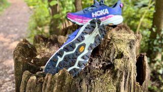 Hoka Speedgoat 6 Review