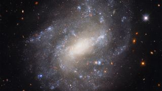 The spiral galaxy UGC 9391 130 million light-years from Earth is seen by the Hubble Space Telescope's Wide Field Camera 3 in this image released Sept. 30, 2022.