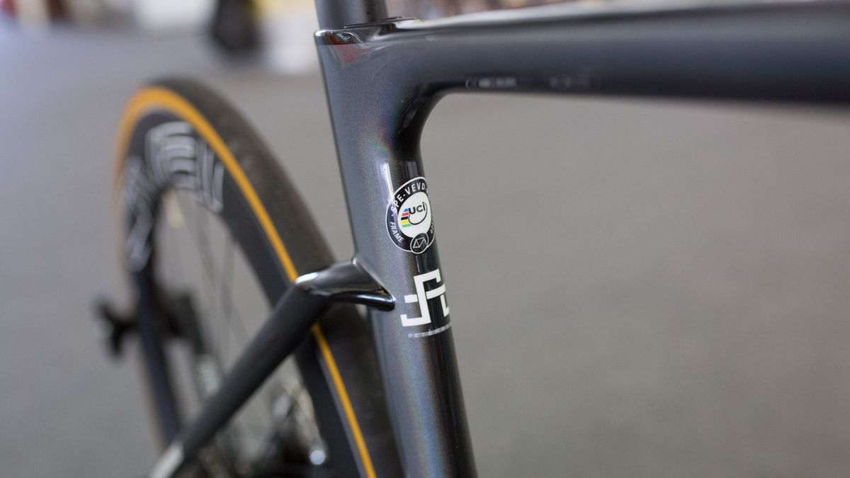 The bike gets a pearlescent paint job and Sagan's logo on the seat tube