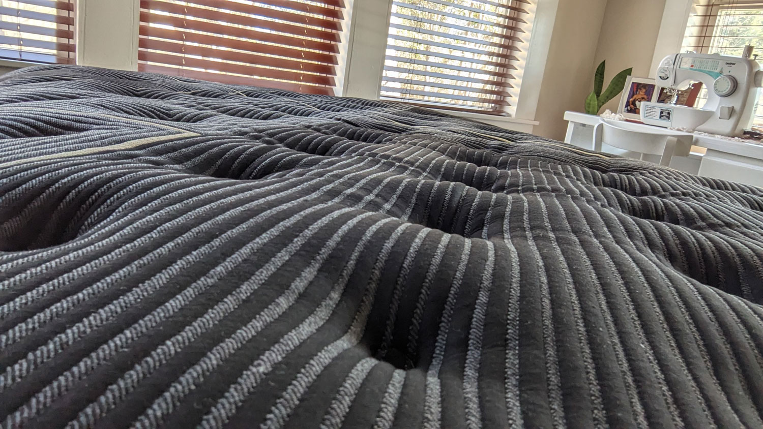 plush pillow top mattress harvey's home furnishings