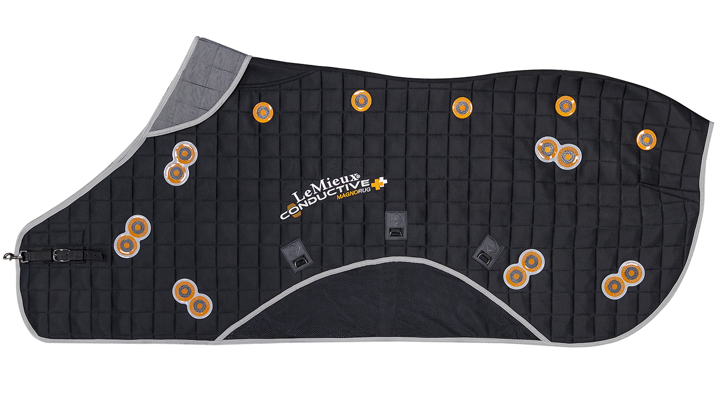 LeMieux Conductive Magno Rug