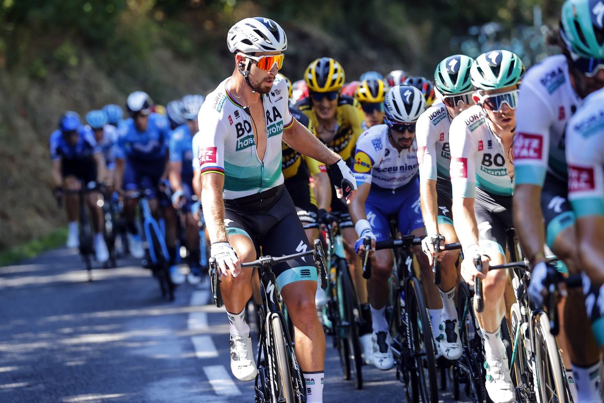 Tour de France 2020 107th Edition 7th stage Millau Lavaur 168 km 04092020 Peter Sagan SVK Bora Hansgrohe photo Luca BettiniBettiniPhoto2020