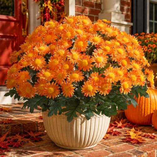 Artificial Fall Fake Mums Flowers Plants for Outdoor Decoration, 6 Pcs Faux Silk Orange Gerbera Daisy Uv Resistant No Fade Realistic for Planter Pot Outside Porch Patio Balcony Garden Yard Home Decor