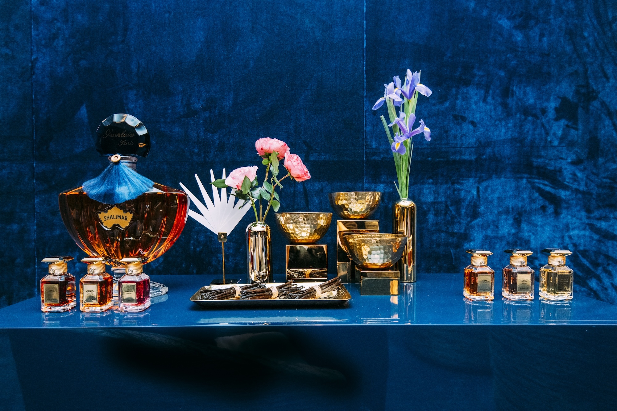 wallpaper editors picks of the week