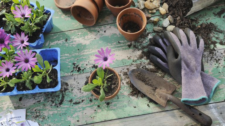 gifts for gardeners - gardening accessories