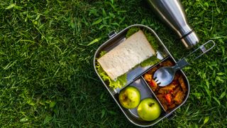 Stainless steel container or lunch box with healthy vegetarian meal and reusable thermos bottle on grass background