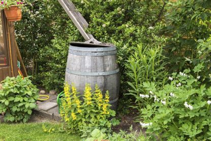 Barrel Water Feature In The Garden