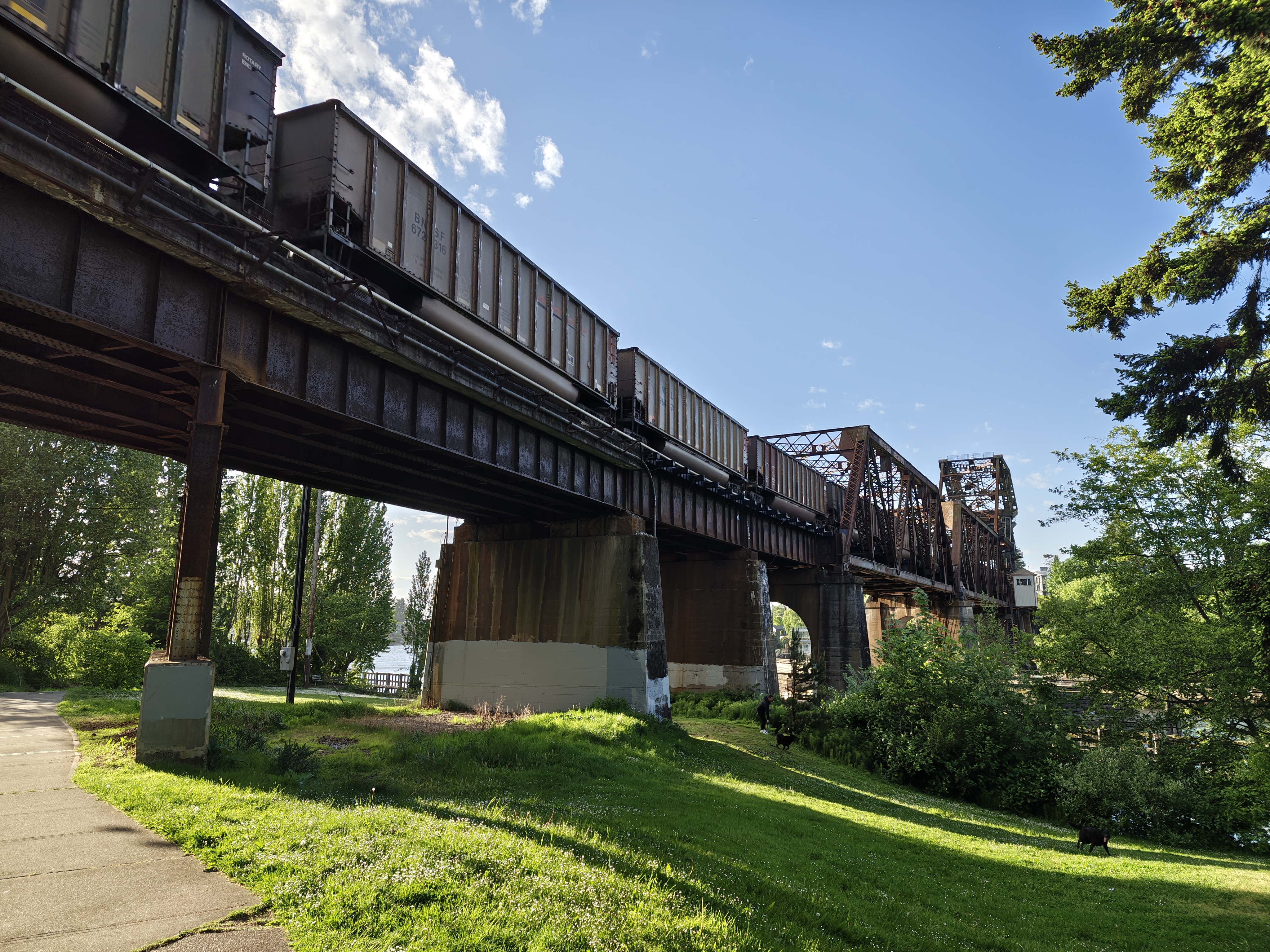 A train on a bridge