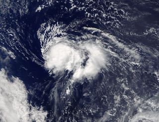 Tropical Storm Nicole swirls about 400 miles (644 km) south of Bermuda in an image taken by NASA's Terra satellite at 10:35 a.m. EDT on Wednesday, Oct. 5, 2016.