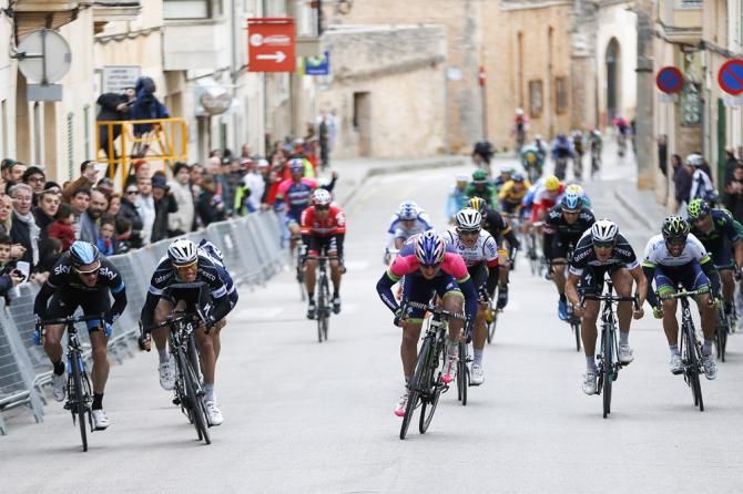 Sacha Modolo (Lampre-Merida) en route to his second straight victory at the Challenge Mallorca