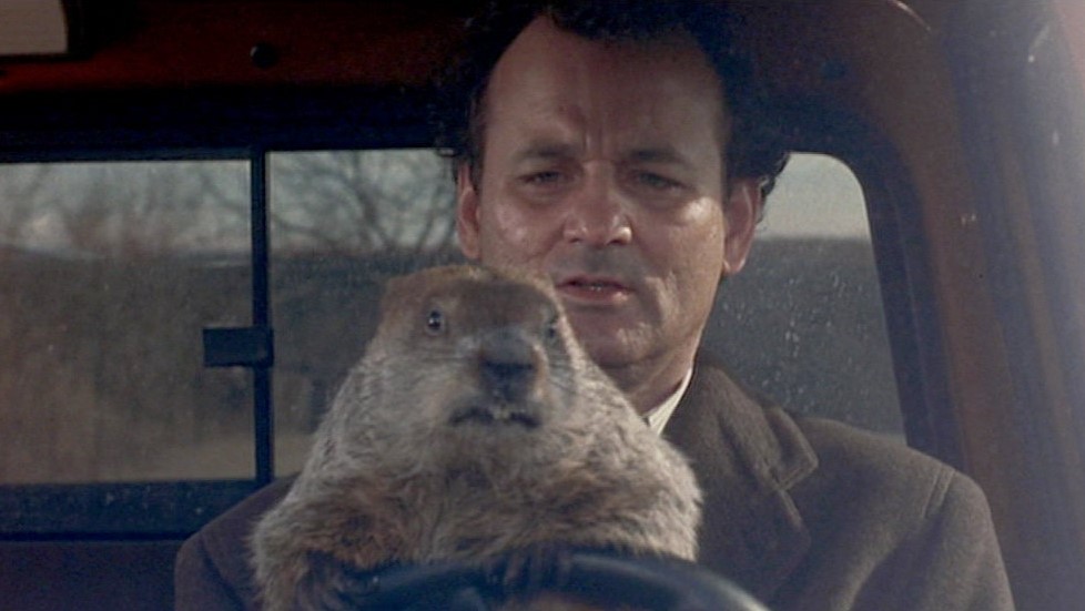 A still from the movie Groundhog Day in which Bill Murray sat in the driving seat of a car with a groundhog on his lap.