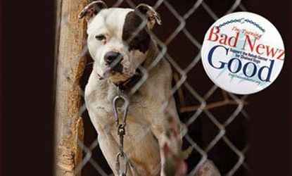 Dogs Deserve Better bought Michael Vick's old home in Surry County, Va. and plans to turn the former dogfighting compound into a rehab center for pups.