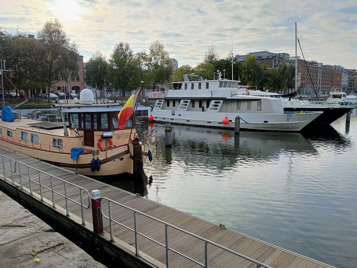 Voorbeeldfoto moto g55