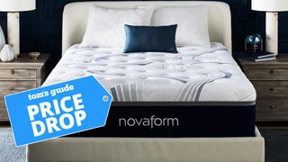 Novaform 14” ComfortGrande Advanced Gel Memory Foam Mattress in a bright bedroom
