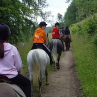 Horse riding lesson – £35 Horse riding lesson – £35